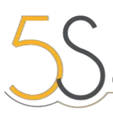 5S Consultores