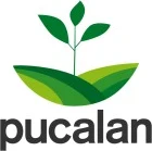 Servicios de Gestión Pucalán